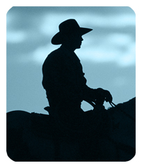 DF35-360-BL Cowboy Blue